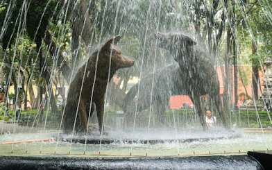 Coyotes fountain in Coyoacán, Mexico City, surrounded by trees and people.
