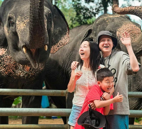 Family with two Asian elephants at Phuket Elephant Care, Sakhu.