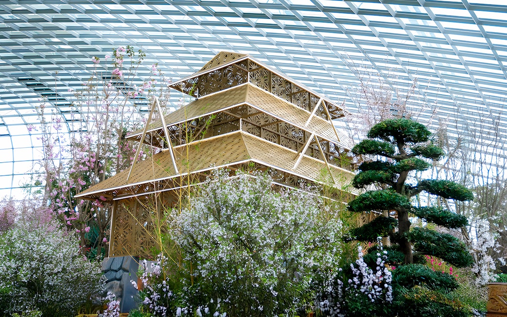 Sakura cherry blossoms and traditional structure at Gardens by the Bay.