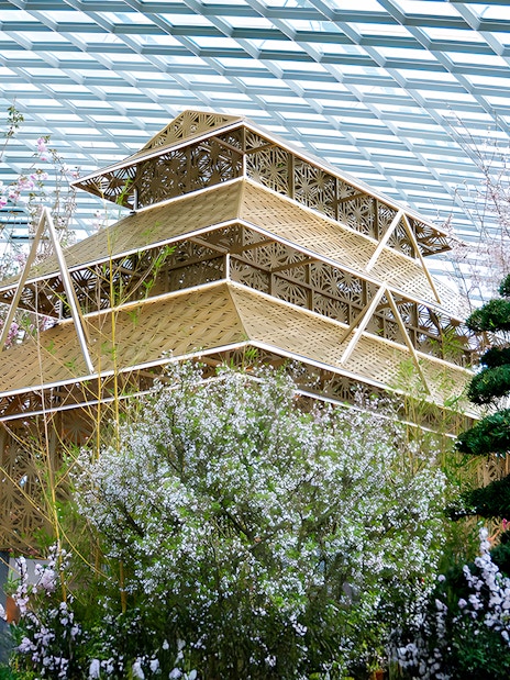 Sakura cherry blossoms and traditional structure at Gardens by the Bay.