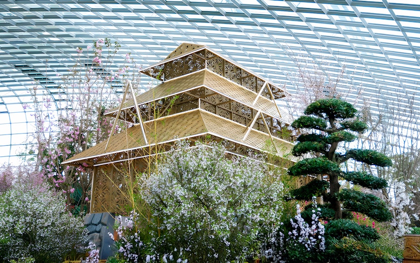 Sakura cherry blossoms and traditional structure at Gardens by the Bay.