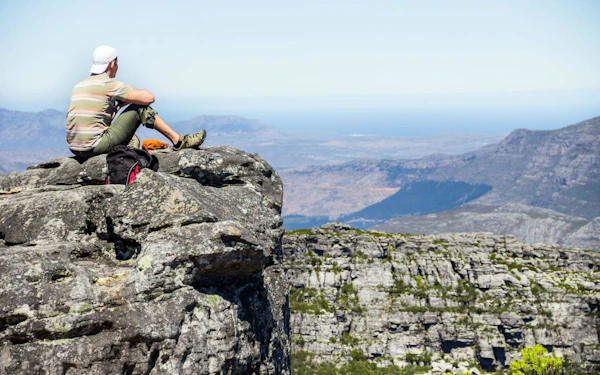 Cape Town Private Tour: Boulders Beach Penguin Swim and Chapman’s Peak Drive