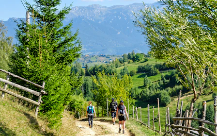 From Brasov: Piatra Craiului National Park Private Hiking Tour