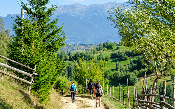 From Brasov: Piatra Craiului National Park Private Hiking Tour