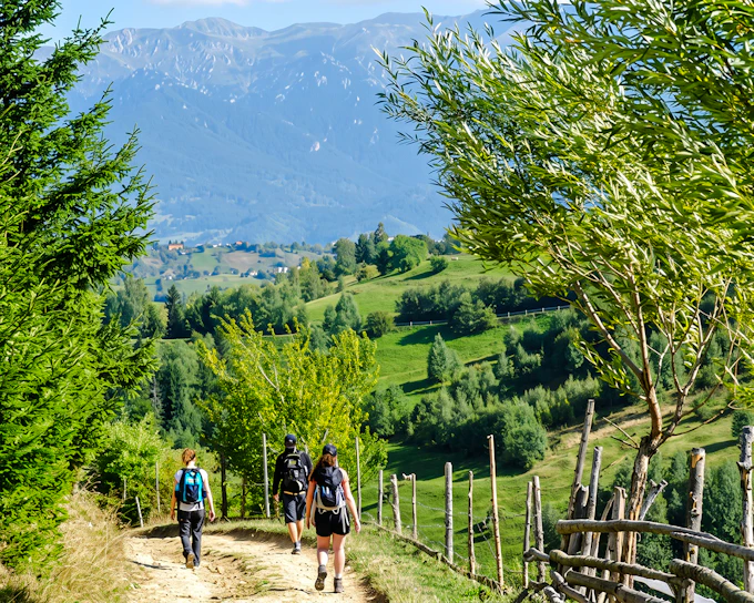 From Brasov: Piatra Craiului National Park Private Hiking Tour (Product 56270)