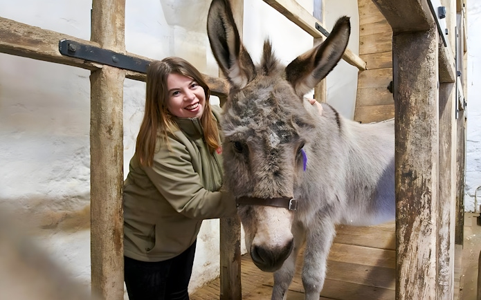 Person interacting with a donkey at Carisbrooke Castle.