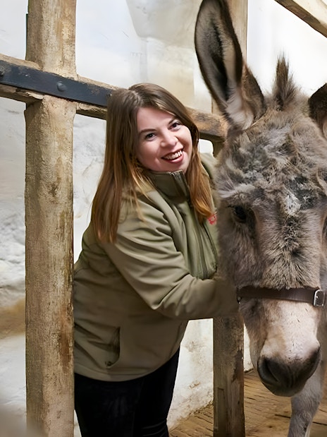 Person interacting with a donkey at Carisbrooke Castle.