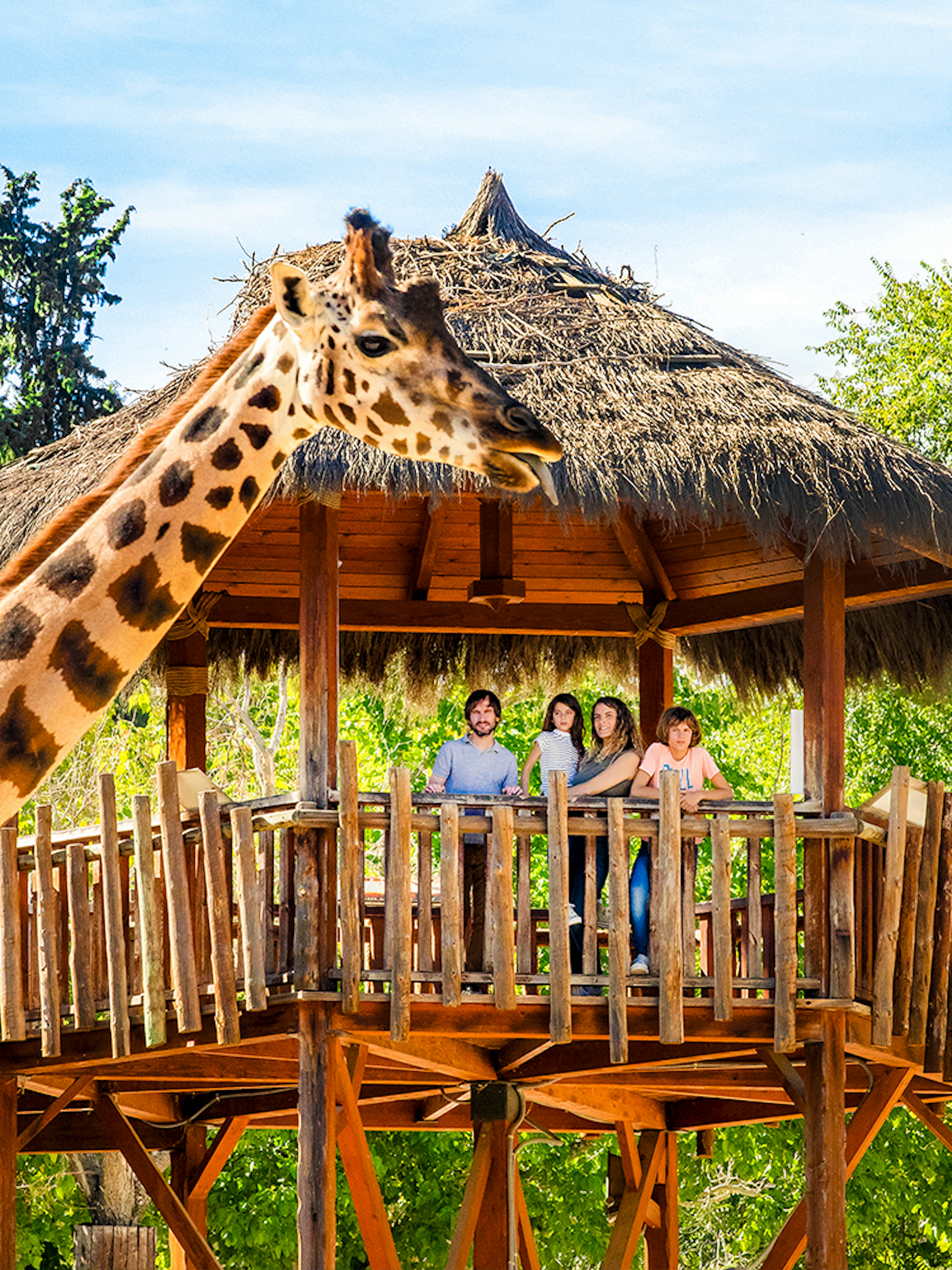 Giraffe near a wooden platform with a family at Madrid Zoo.