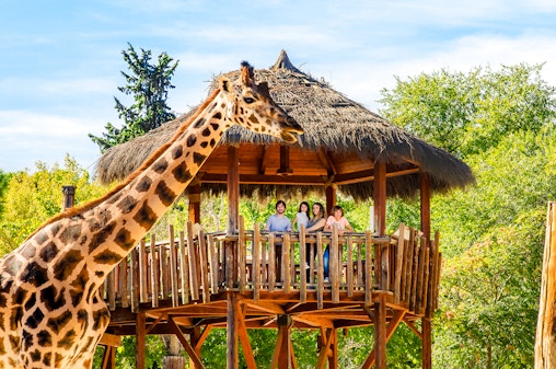 Ingressos para o Zoo Aquarium de Madrid