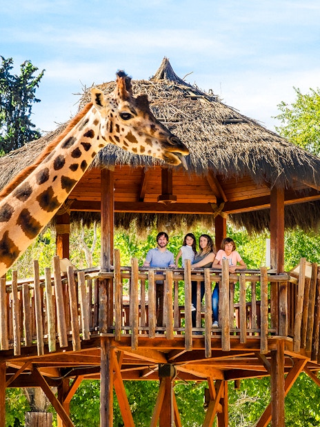 Giraffe near a wooden platform with a family at Madrid Zoo.