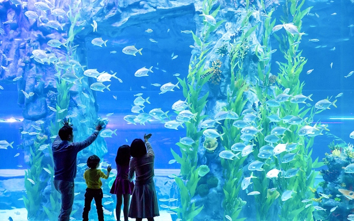 Family observing fish in a large aquarium at Lotte World, Seoul.