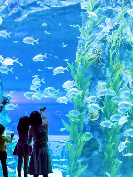 Family observing fish in a large aquarium at Lotte World, Seoul.