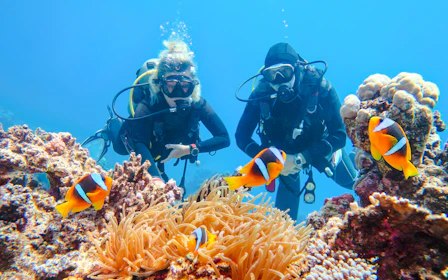 From Sharm El-Sheikh: Diving at Ras Mohamed & White Island with Round-Trip Hotel Transfers
