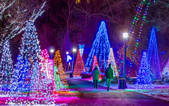 Visitors walking through illuminated trees at Niagara Festival of Lights Tour.