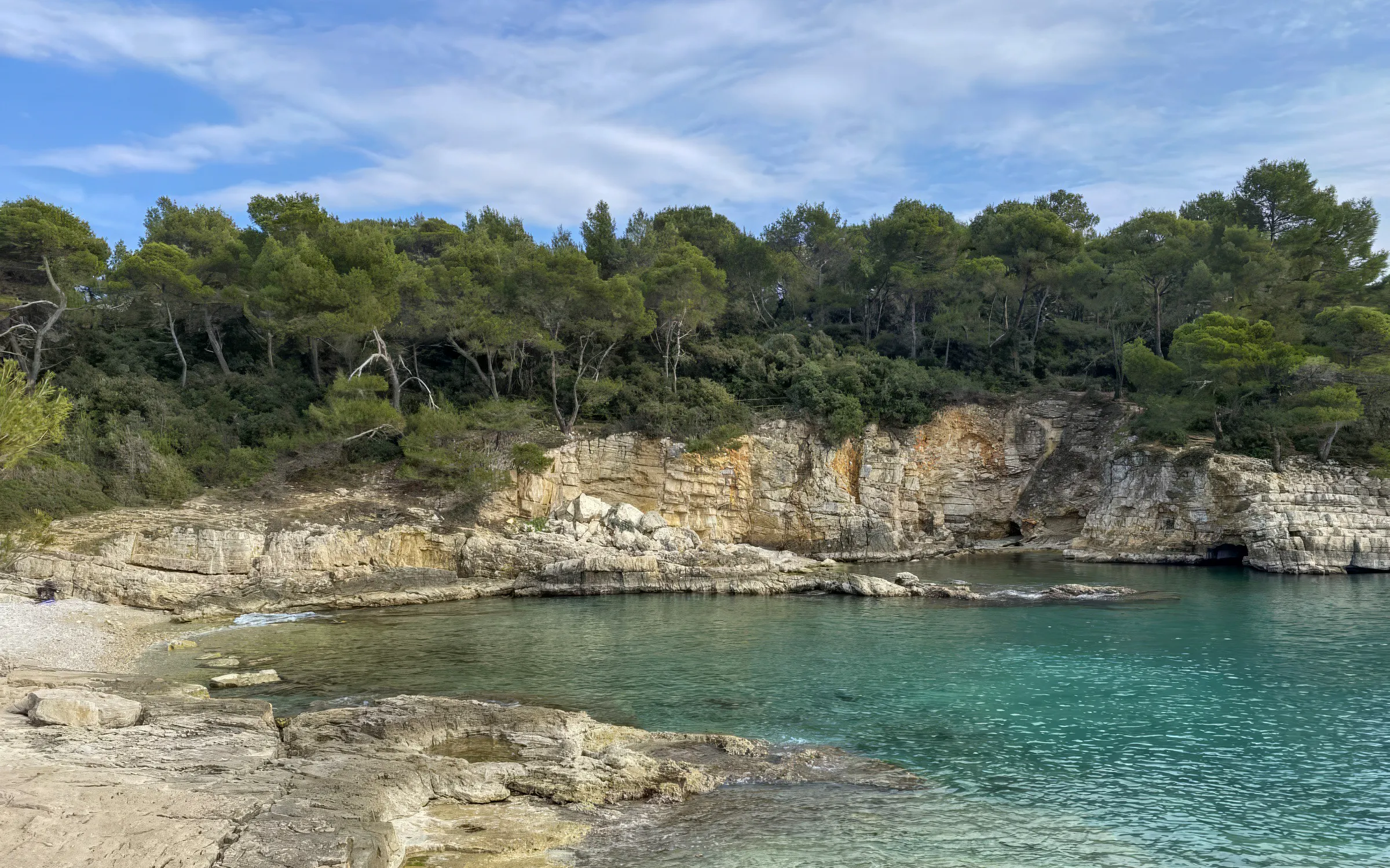 Brijuni Islands rocky coastline with clear turquoise water and lush green trees.