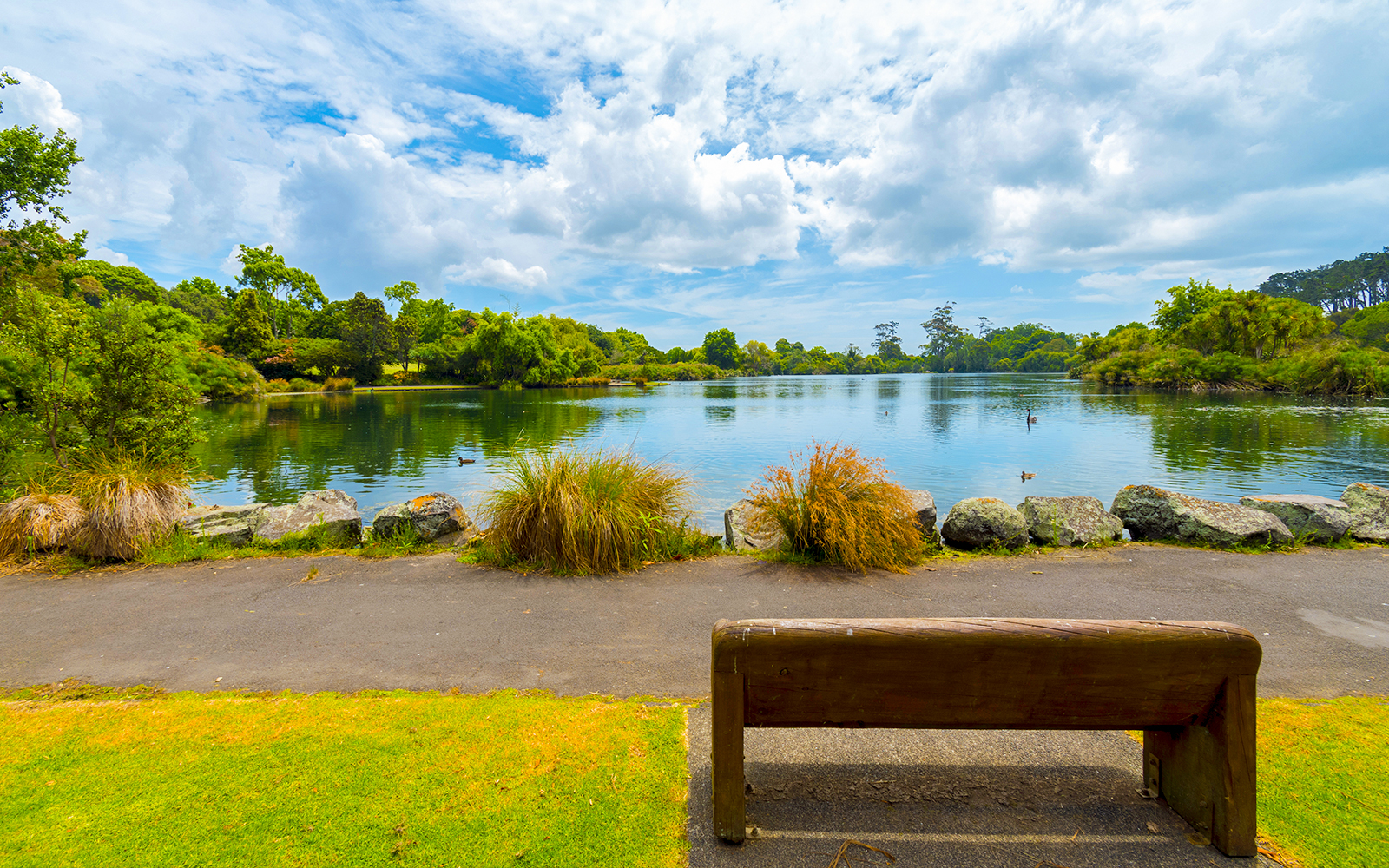 Parque Western Springs