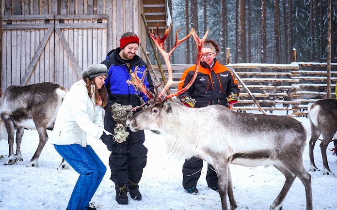 Visitors feeding reindeer at a farm in Rovaniemi during a reindeer safari experience.