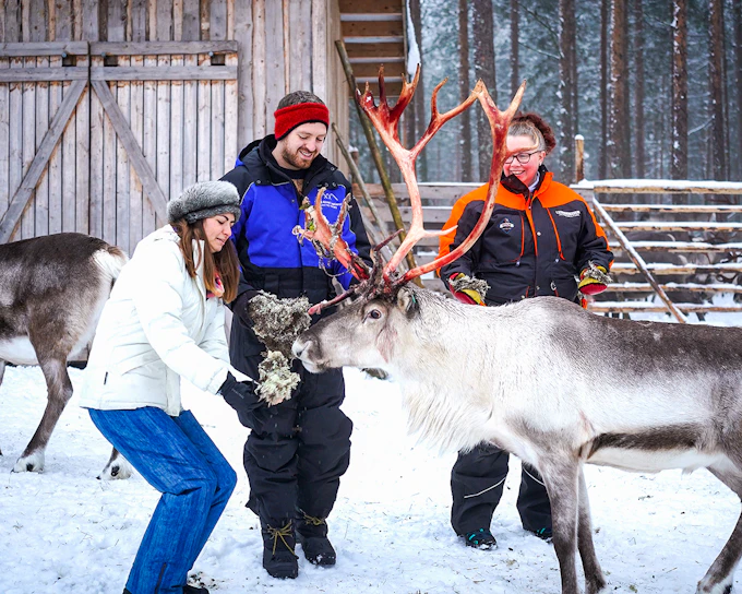 Reindeer Farm and Sledding Experience