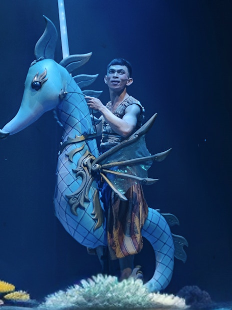 Performer on seahorse in Varuna Underwater Theatrical Dining Experience.