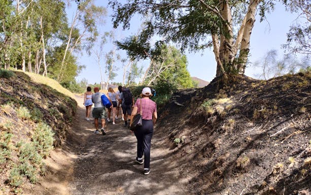 Group hiking on Mount Etna trail surrounded by trees, part of guided trek from Catania.