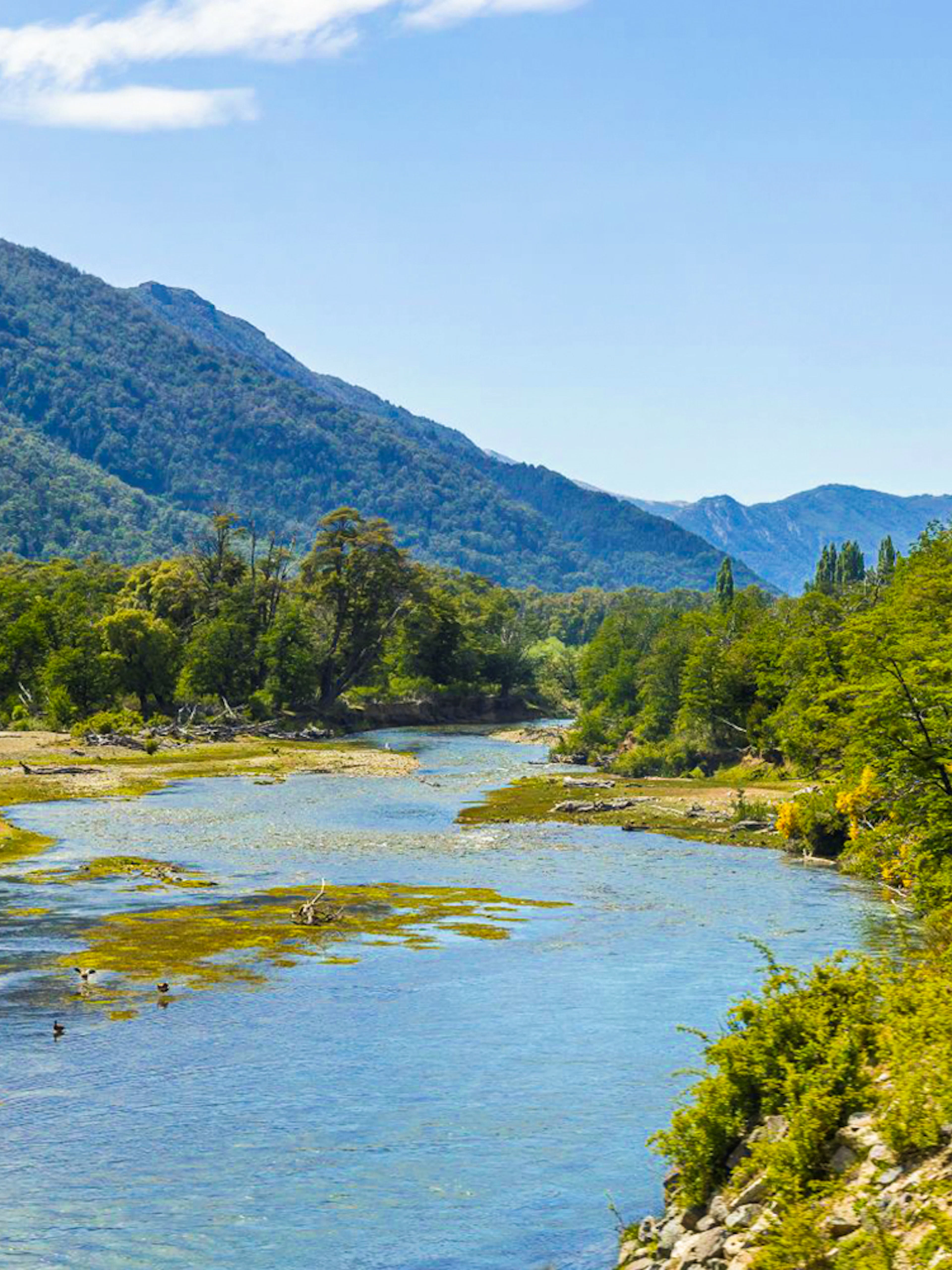 Lake and forested mountains along the Seven Lakes Route in Patagonia.