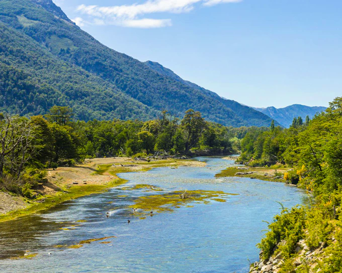 From Bariloche: 7 Lakes & San Martín de los Andes Tour