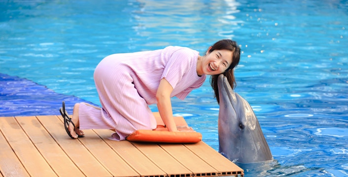 Person interacting with a dolphin at a marine attraction.