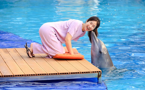 Person interacting with a dolphin at a marine attraction.