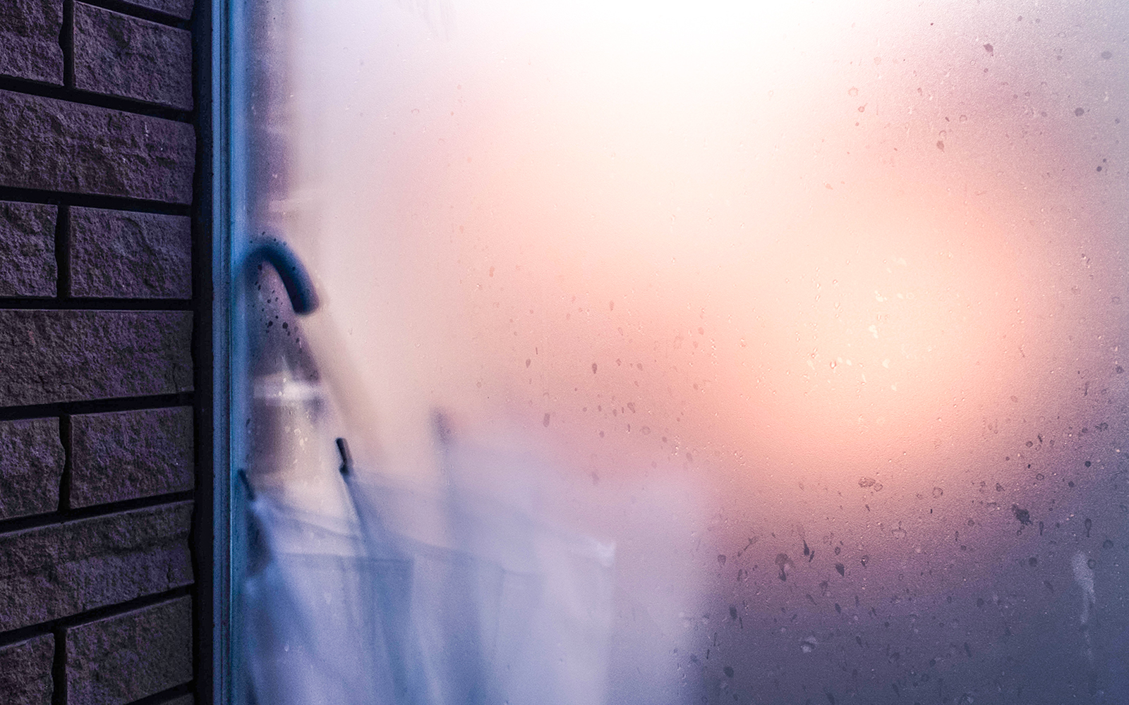 Night Safari Singapore - Tips