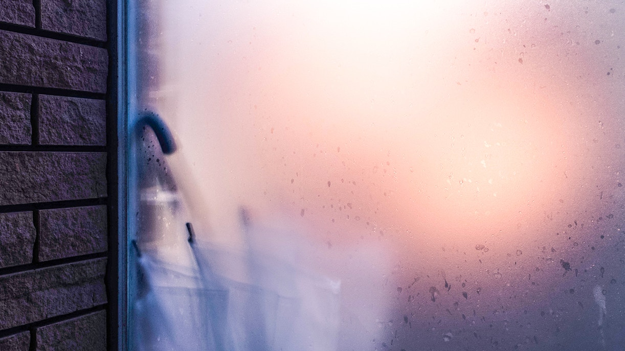 Night Safari Singapore - Tips