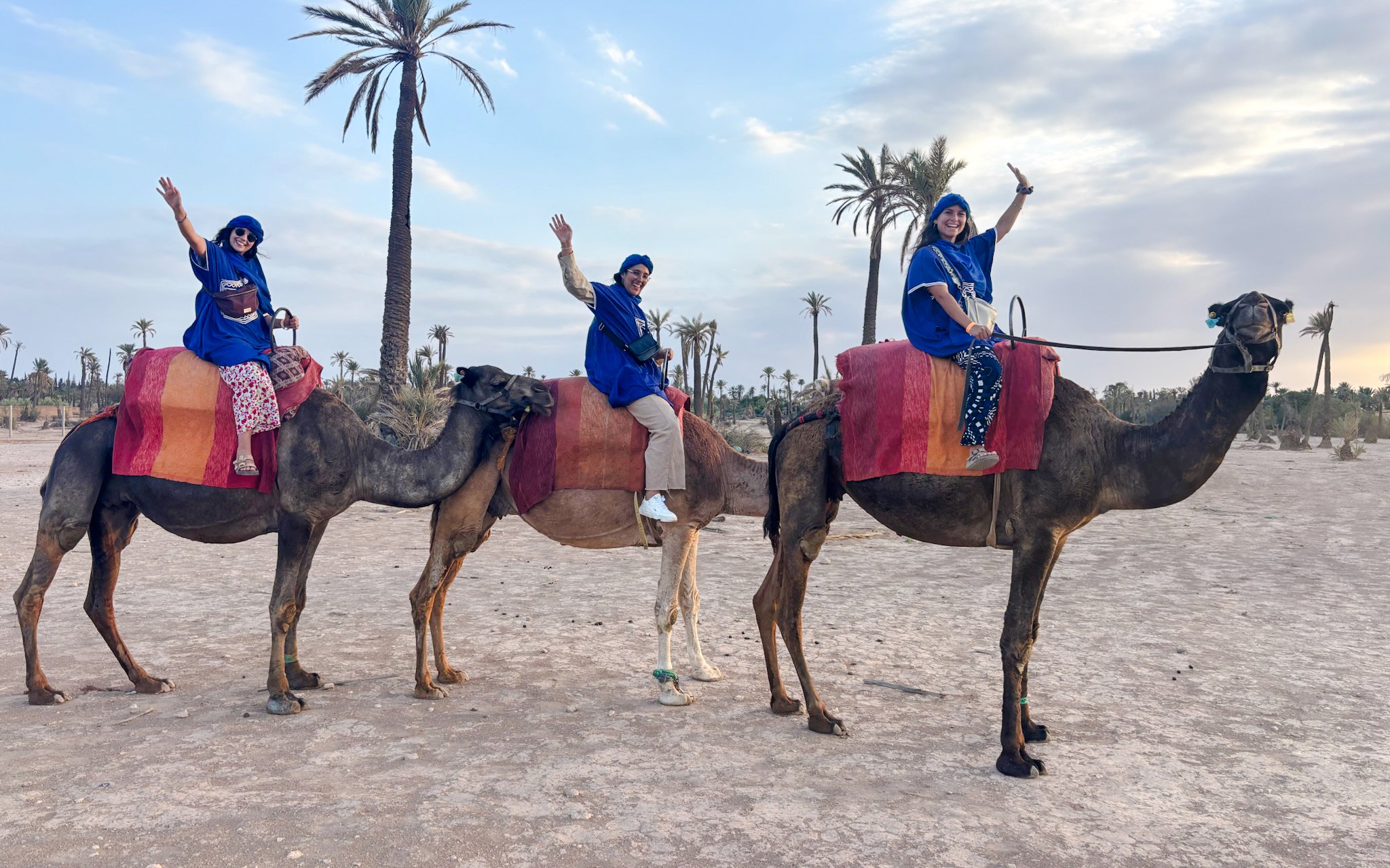 Three people riding camels during a sunset tour in the Palmeraie, Morocco.