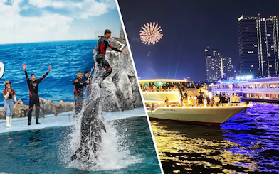 Safari World dolphin show and Chao Phraya dinner cruise in Bangkok.