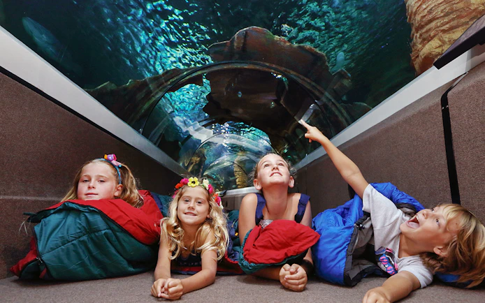 Children enjoying the underwater tunnel at SEA LIFE Sunshine Coast.