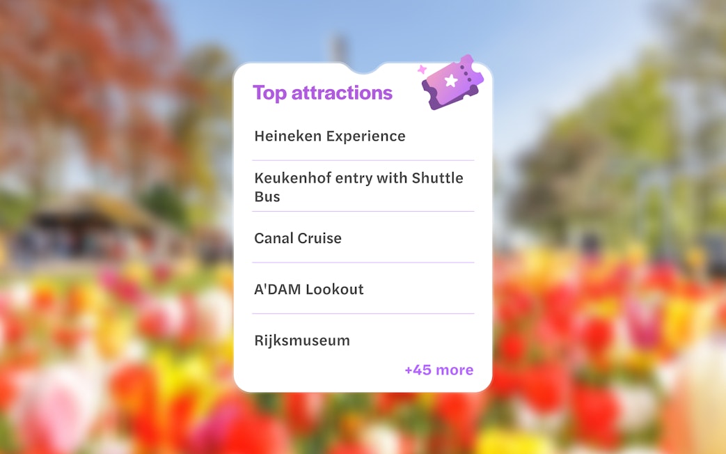 Heineken Experience, Keukenhof, Canal Cruise, A'DAM Lookout, Rijksmuseum in Amsterdam.