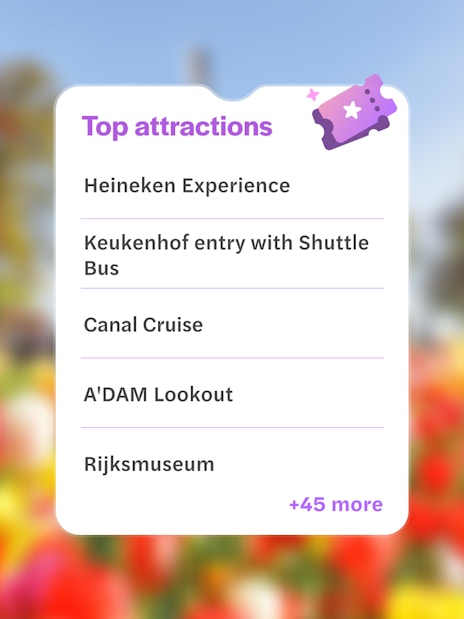 Heineken Experience, Keukenhof, Canal Cruise, A'DAM Lookout, Rijksmuseum in Amsterdam.