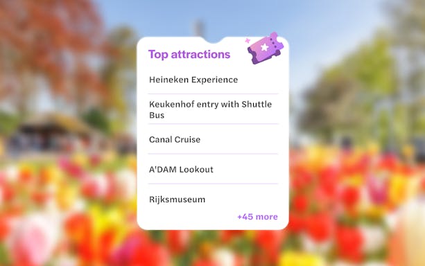 Heineken Experience, Keukenhof, Canal Cruise, A'DAM Lookout, Rijksmuseum in Amsterdam.