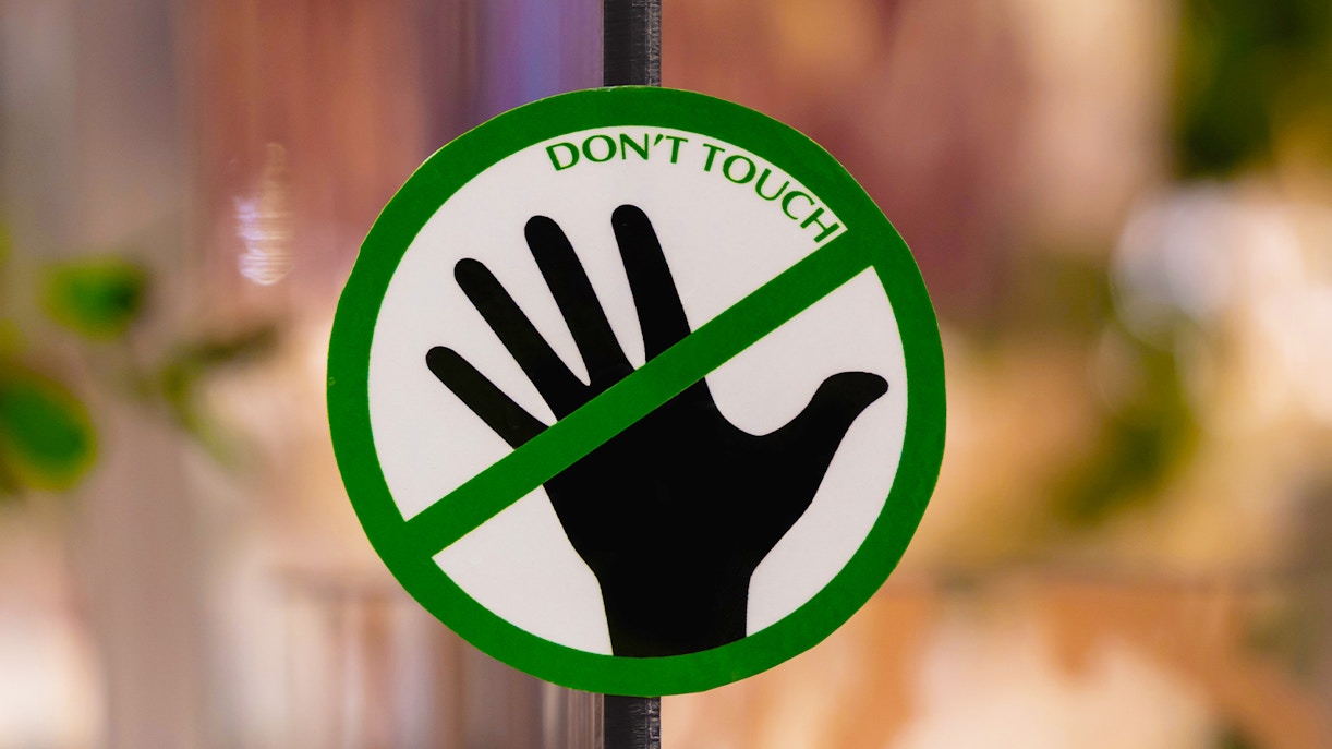 Reaching for the Stars Exhibition at the Strozzi Palace