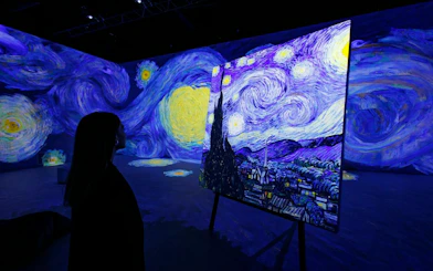Visitor viewing Van Gogh's Starry Night at immersive exhibit in Zurich.