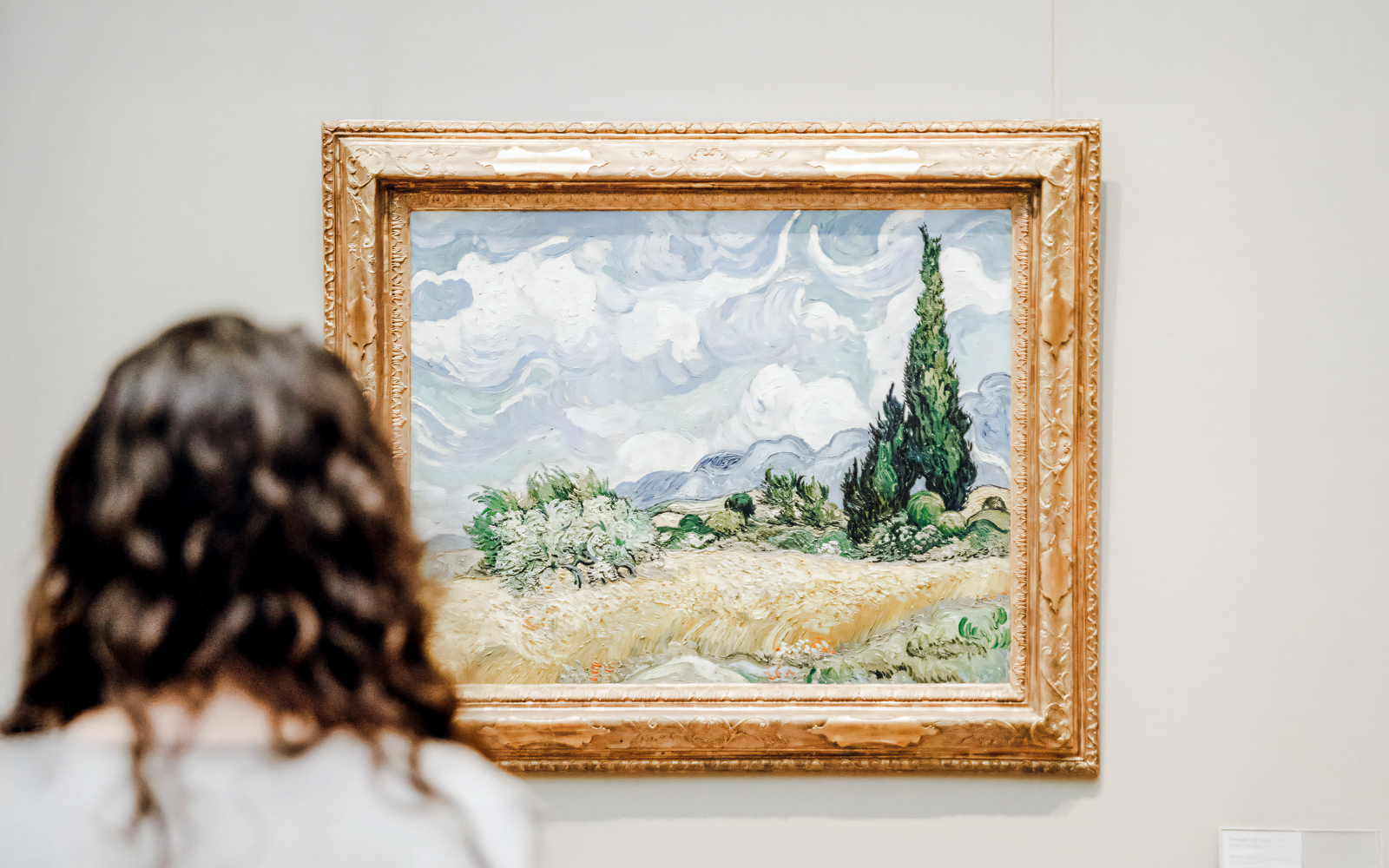 Viewer admiring Vincent van Gogh's "Wheat Field with Cypresses" painting.