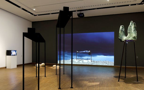 Exhibit with sculptures and video installation at ALBERTINA MODERN Vienna.