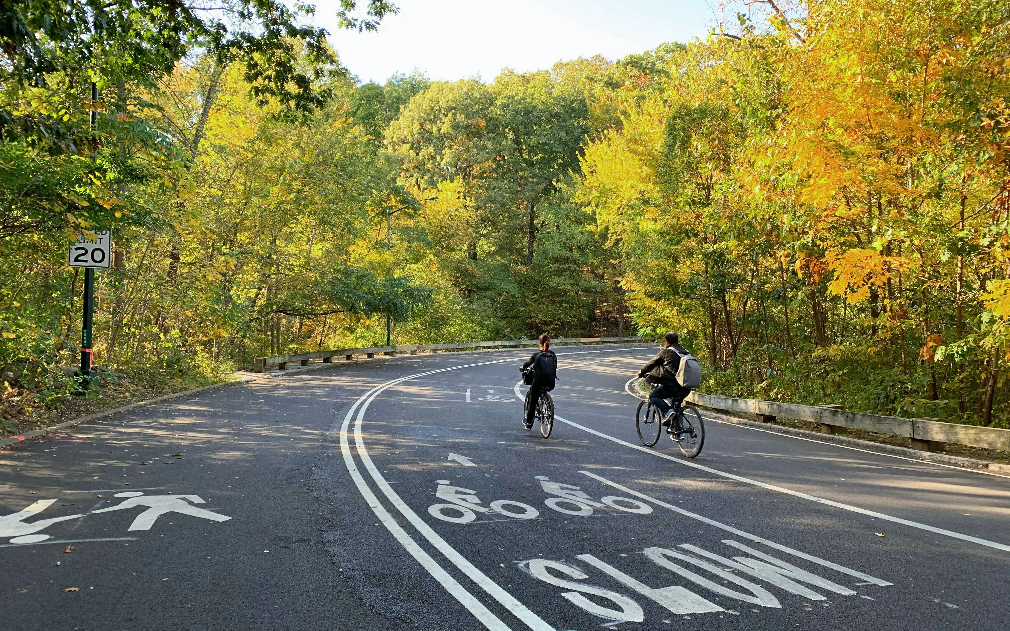 Cyclists riding through Central Park, Manhattan, surrounded by autumn trees.