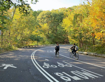 Cyclists riding through Central Park, Manhattan, surrounded by autumn trees.