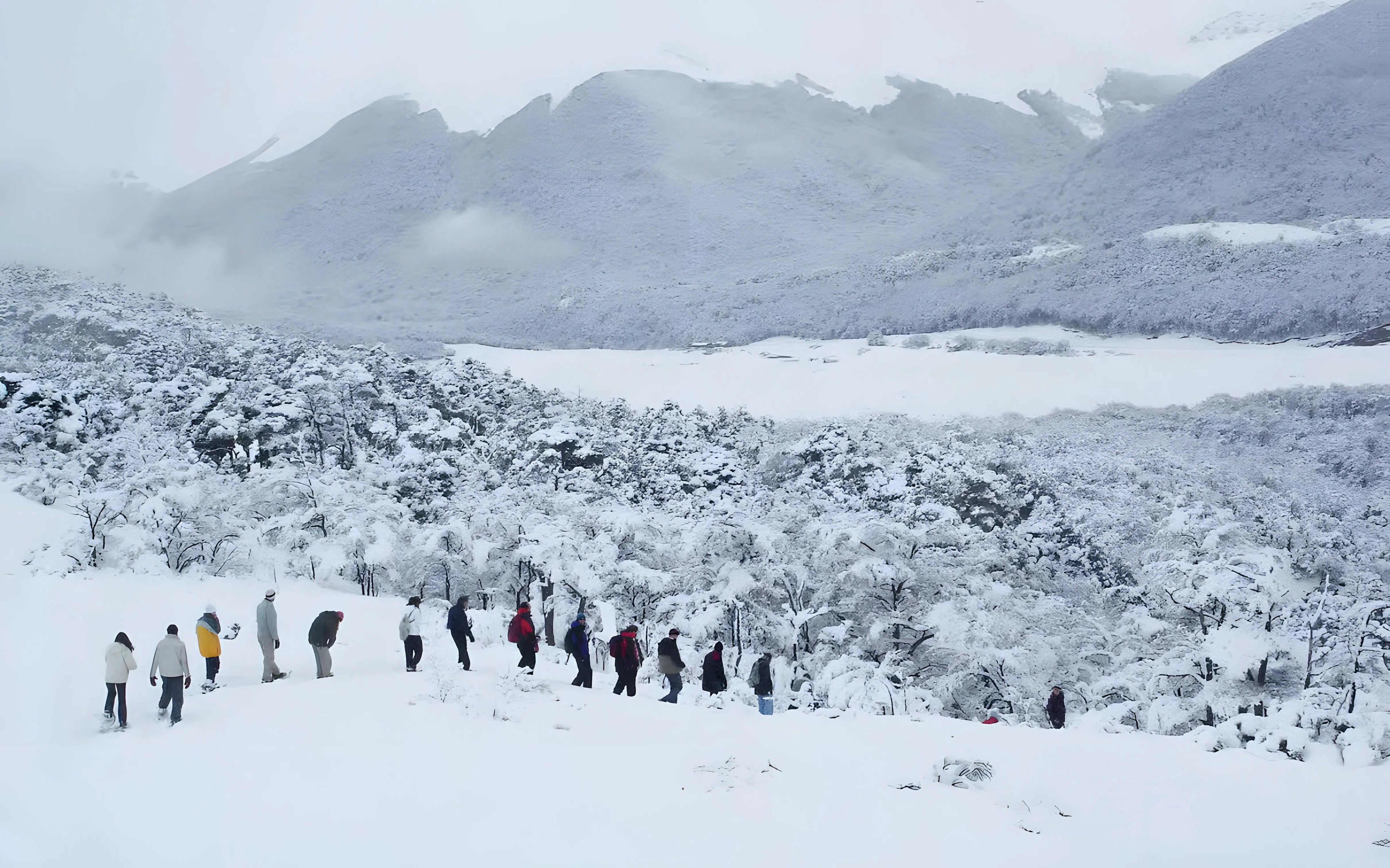 Snow Experience