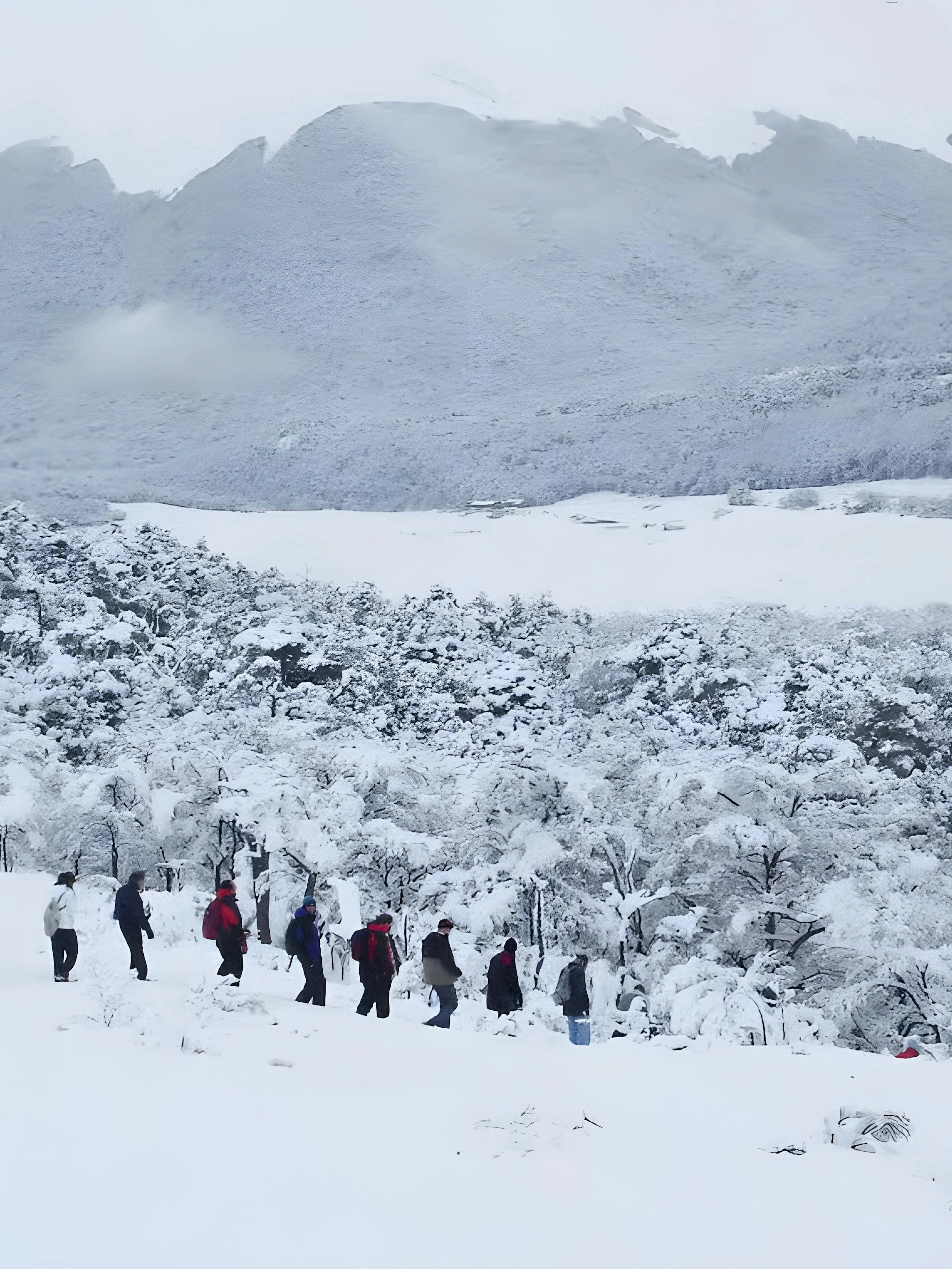 Group hiking through snowy landscape in Ushuaia with mountains in the background.