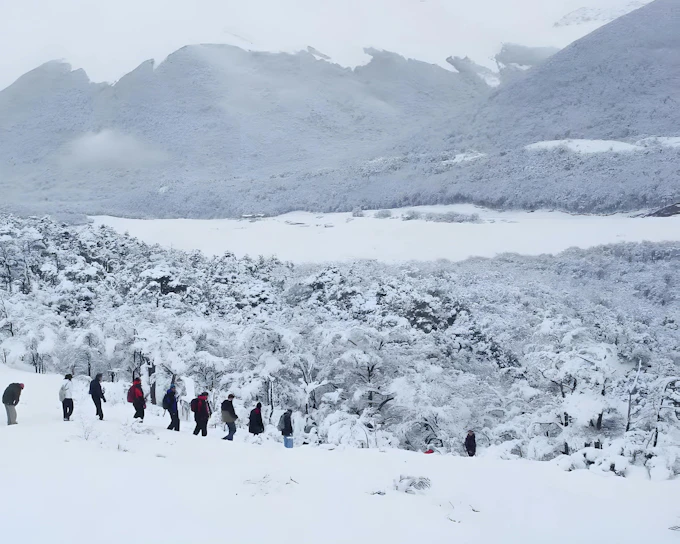From Ushuaia: Snow Experience with Snowmobile & Husky Sled (Product 49276)