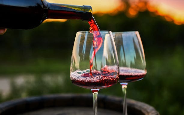 Pouring red wine into glasses at sunset, Modena aperitif at Acetaia La Vedetta.