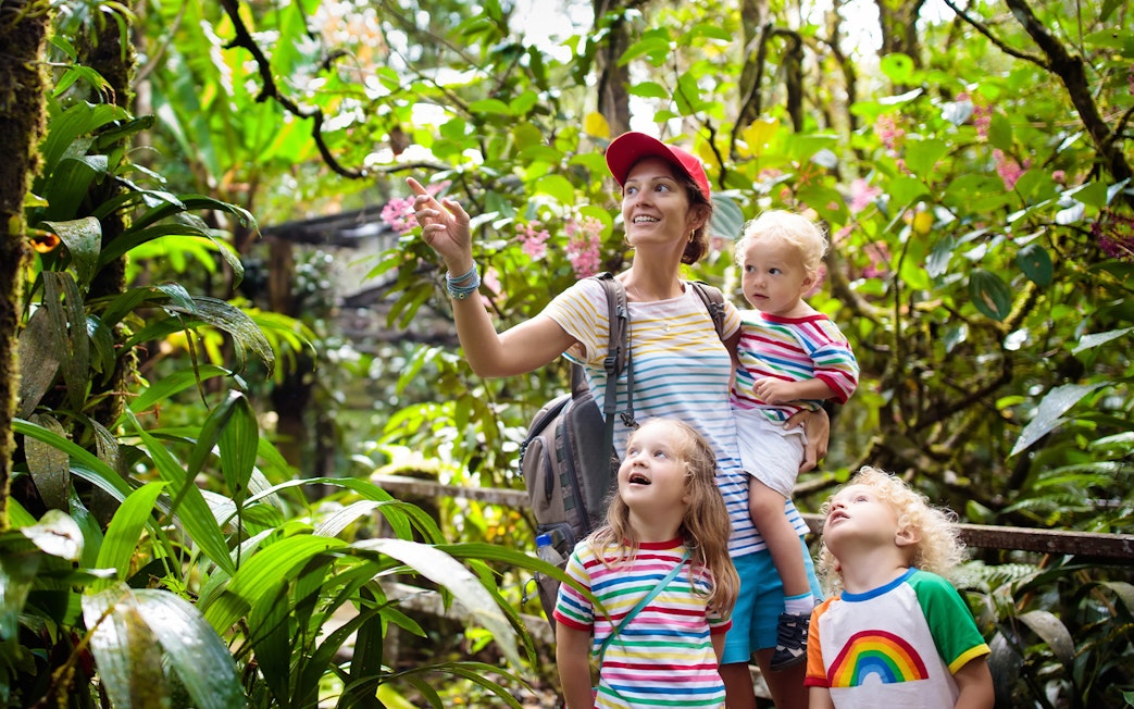 Family exploring lush greenery at Bali zoo.