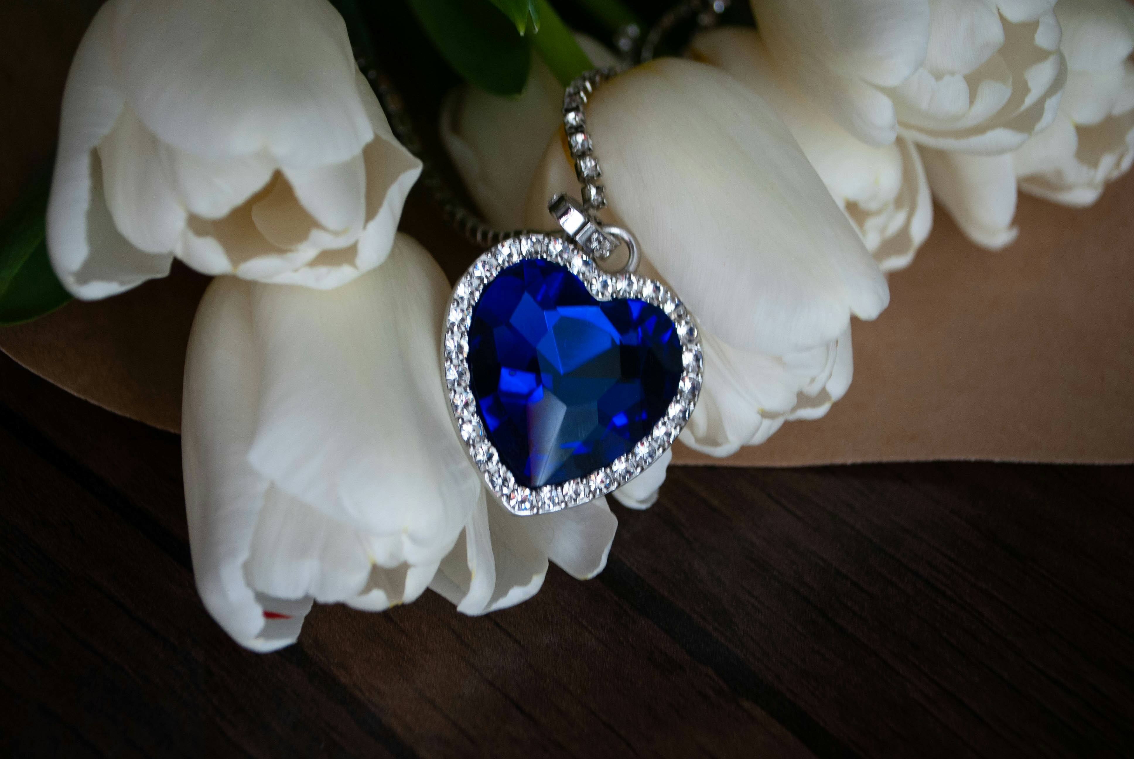 Titanic Artifact Exhibition