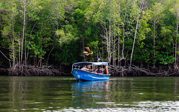 From Langkawi: Kilim Geoforest Park Mangrove and Island-Hopping Cruise with Hotel Transfers and Lunch