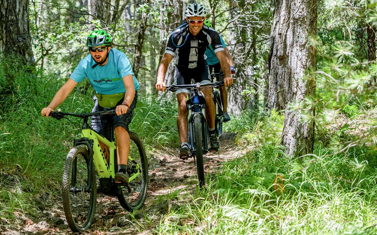 Cyclists riding e-bikes through a forest trail near Mount Etna, Sicily.